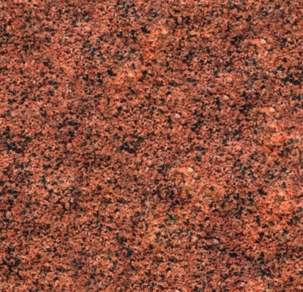 Лезниковский